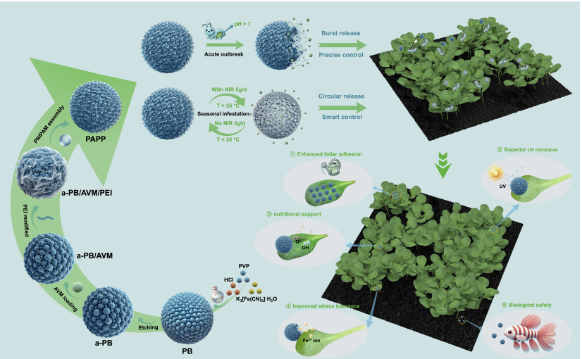 生物模倣型二相ナノ農薬によるスマート制御放出技術を開発（Bioinspired Dual-phase Nanopesticide Enables Smart Controlled Release）