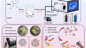プラズマ処理でシリカ系材料の抗菌効果を高める新戦略を開発(Plasma Strategy Boosts Antibacterial Efficacy of Silica-based Materials)