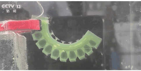 自適応型ハイドロゲル模倣吸盤の開発（China Develops First Adaptive Hydrogel Biomimetic Suction Disc）
