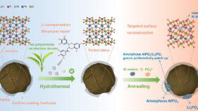 茶ポリフェノールを利用してリチウム鉄リン酸電池カソードを再生（Tea Polyphenol-powered Strategy Revives Retired LiFePO₄ Cathodes）