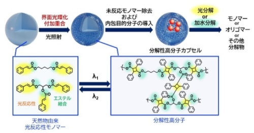 海洋マイクロプラスチック問題の解決に貢献～天然由来の光反応性分子で環境にやさしいカプセルを合成～