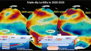 降雨と塩分の関係がラニーニャ現象の持続を支えることを明らかに（New Study Reveals Rainfall-Salinity Link Sustains Prolonged La Nina Events）