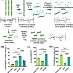 植物由来材料によるレアアース回収技術(Plant-Based Material Offers Sustainable Method of Recovering Rare Earth Element) 植物由来材料によるレアアース回収技術(Plant-Based Material Offers Sustainable Method of Recovering Rare Earth Element)