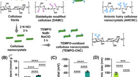 植物由来材料によるレアアース回収技術（Plant-Based Material Offers Sustainable Method of Recovering Rare Earth Element）