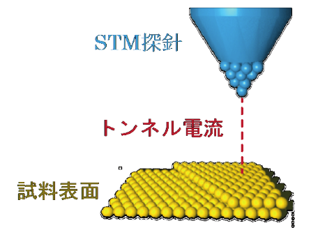 左右対称な分子から「左右」が生まれる仕組みを発見 ―― 金の表面で、分子が自発的に手を繋ぎ、右利き・左利き構造を作る ――