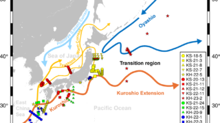 日本周辺における魚類多様性の緯度逆転