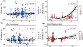 植物多様性が土壌窒素循環に複雑な影響を与えることを解明（Plant Diversity Impacts Soil Nitrogen Cycling in Complex Ways, Global Study Finds）