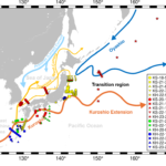 日本周辺における魚類多様性の緯度逆転