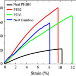 竹シートで高強度化した生分解性複合材料を開発 ―海水環境における分解挙動を力学特性に基づいて予測―