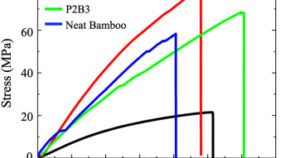 竹シートで高強度化した生分解性複合材料を開発 ―海水環境における分解挙動を力学特性に基づいて予測―