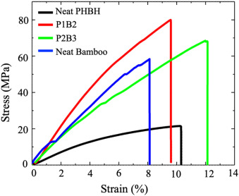 竹シートで高強度化した生分解性複合材料を開発 ―海水環境における分解挙動を力学特性に基づいて予測―