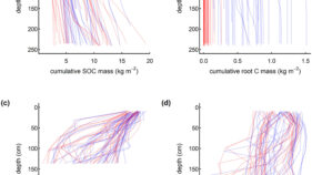 深根性草本が炭素を大幅に貯蔵することを発見（Deep-rooted grass stores significantly more carbon, new study says）