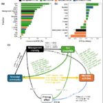 農業管理強度が土壌プライミング効果に与える影響を解明（Study Links Agricultural Management Intensity to Soil Priming Effect）