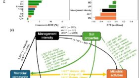 農業管理強度が土壌プライミング効果に与える影響を解明（Study Links Agricultural Management Intensity to Soil Priming Effect）