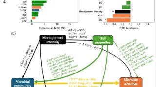 農業管理強度が土壌プライミング効果に与える影響を解明（Study Links Agricultural Management Intensity to Soil Priming Effect）