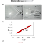 流体・固体表面波の統合理解による軟材料研究の進展(Exploring fluid and solid surface-wave physics) 流体・固体表面波の統合理解による軟材料研究の進展(Exploring fluid and solid surface-wave physics)