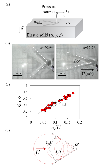 流体・固体表面波の統合理解による軟材料研究の進展（Exploring fluid and solid surface-wave physics）