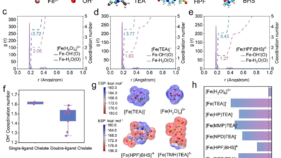 6000サイクル劣化なしの超安定型全鉄フロー電池を開発 （Super-Stable Iron Complex Electrolyte Enables 6,000-Cycle Alkaline All-Iron Flow Battery）