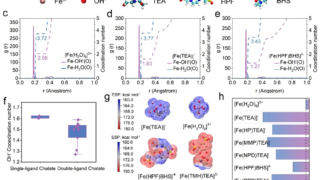 6000サイクル劣化なしの超安定型全鉄フロー電池を開発 （Super-Stable Iron Complex Electrolyte Enables 6,000-Cycle Alkaline All-Iron Flow Battery）