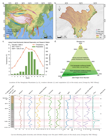 過去1万4000年間における植物多様性の気候変動応答を解明 （Chinese Scientists Reveal the Response of Plant Diversity to Climate Change Over the Past 14000 Years in the Hengduan Mountains）
