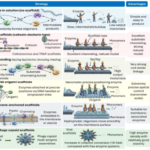 酵素によるプラスチック分解の産業循環化ロードマップを開発 （Study Develops Roadmap for Enzymatic Plastic Depolymerization from Labs to Industrial Circularity）