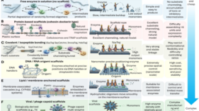 酵素によるプラスチック分解の産業循環化ロードマップを開発 （Study Develops Roadmap for Enzymatic Plastic Depolymerization from Labs to Industrial Circularity）
