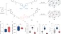 耐衝撃性に優れた新しい高分子材料を設計（MIT Chemists Design Impact-Resistant Plastics）