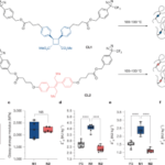 耐衝撃性に優れた新しい高分子材料を設計(MIT Chemists Design Impact-Resistant Plastics) 耐衝撃性に優れた新しい高分子材料を設計(MIT Chemists Design Impact-Resistant Plastics)