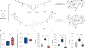 耐衝撃性に優れた新しい高分子材料を設計（MIT Chemists Design Impact-Resistant Plastics）