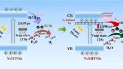 低コスト材料によるグリーン水素製造技術を開発（Low-cost innovation boosts green hydrogen production）