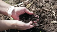 土壌健康のデジタル化が知識形成に及ぼす影響を分析（When soil becomes data – how digitalisation affects knowledge of soil health）