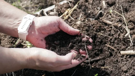 土壌健康のデジタル化が知識形成に及ぼす影響を分析（When soil becomes data – how digitalisation affects knowledge of soil health）