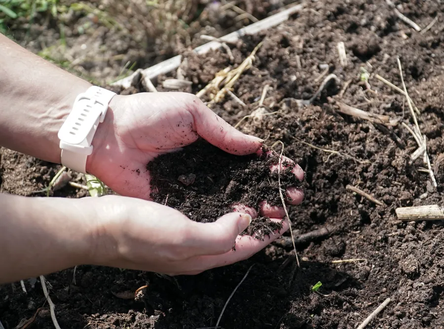 土壌健康のデジタル化が知識形成に及ぼす影響を分析(When soil becomes data – how digitalisation affects knowledge of soil health) 土壌健康のデジタル化が知識形成に及ぼす影響を分析(When soil becomes data – how digitalisation affects knowledge of soil health)