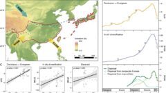 世界最大の常緑広葉樹林の形成過程を解明（Scientists Reveal the Assembly of the World’s Largest Evergreen Broadleaved Forest）