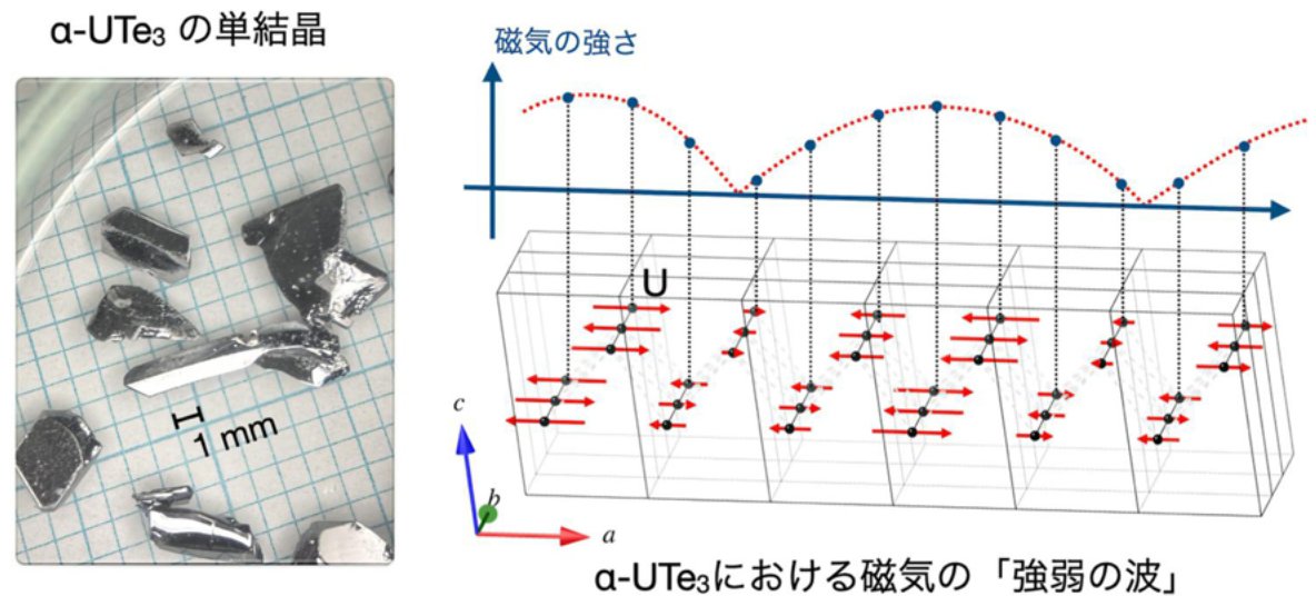 ウラン半導体に磁気の「強弱の波」を発見 ―層状磁性体の磁気制御に向けた新たな手がかり― ウラン半導体に磁気の「強弱の波」を発見 ―層状磁性体の磁気制御に向けた新たな手がかり―