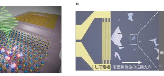 音響波で揺れ動く原子層二次元半導体の励起子発光を多次元的に可視化 －発光の色・明るさ・寿命の超高速変化をリアルタイムに追跡、量子デバイス応用へ－