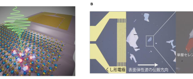 音響波で揺れ動く原子層二次元半導体の励起子発光を多次元的に可視化 －発光の色・明るさ・寿命の超高速変化をリアルタイムに追跡、量子デバイス応用へ－