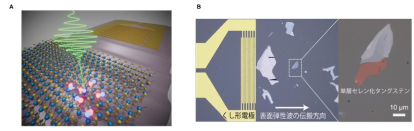 音響波で揺れ動く原子層二次元半導体の励起子発光を多次元的に可視化 －発光の色・明るさ・寿命の超高速変化をリアルタイムに追跡、量子デバイス応用へ－