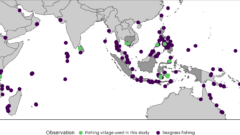 貧困層の数百万人が生存のために海草藻場に依存していることが研究で判明（Millions of people living in poverty rely on seagrass meadows for survival, study finds）