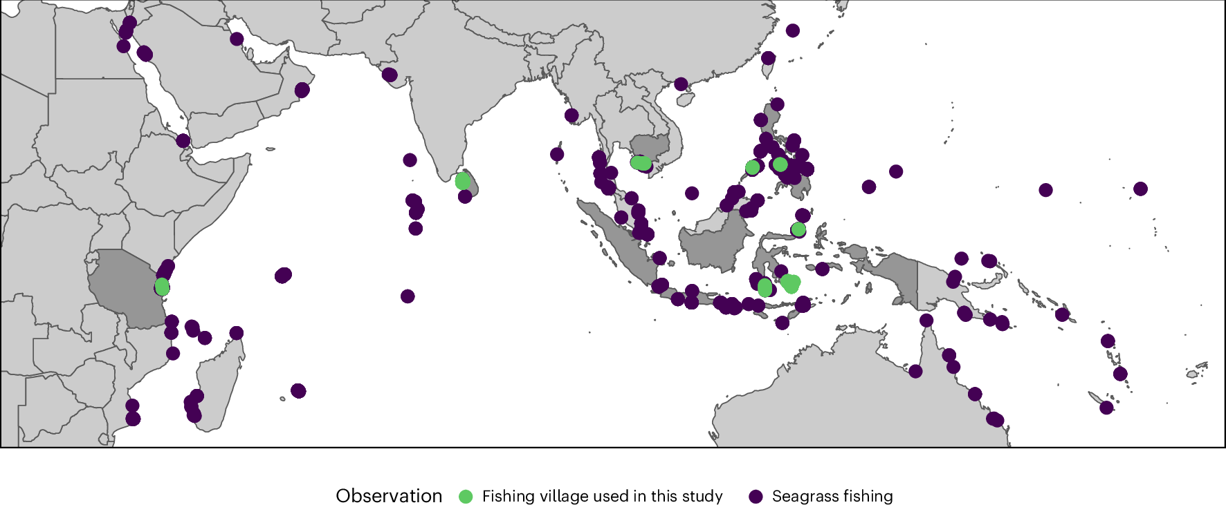 貧困層の数百万人が生存のために海草藻場に依存していることが研究で判明（Millions of people living in poverty rely on seagrass meadows for survival, study finds）