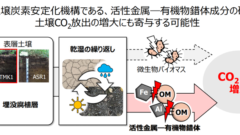 乾湿繰り返しによる土壌CO2放出増大の原因を解明－金属と有機物の結合が鍵、気候変動下の炭素循環予測の精緻化へ－