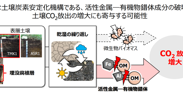 乾湿繰り返しによる土壌CO2放出増大の原因を解明－金属と有機物の結合が鍵、気候変動下の炭素循環予測の精緻化へ－