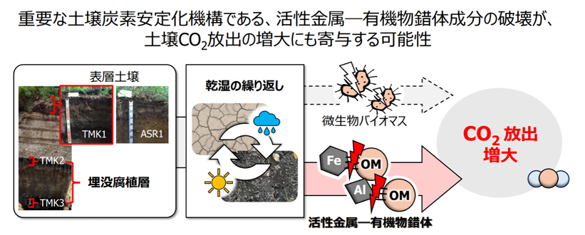 乾湿繰り返しによる土壌CO2放出増大の原因を解明－金属と有機物の結合が鍵、気候変動下の炭素循環予測の精緻化へ－