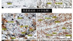東アジアにおける古生代地殻変動の新たな痕跡を発見～東アジア変動史空白時代の テクトニクス像描写や古地理復元に貢献～